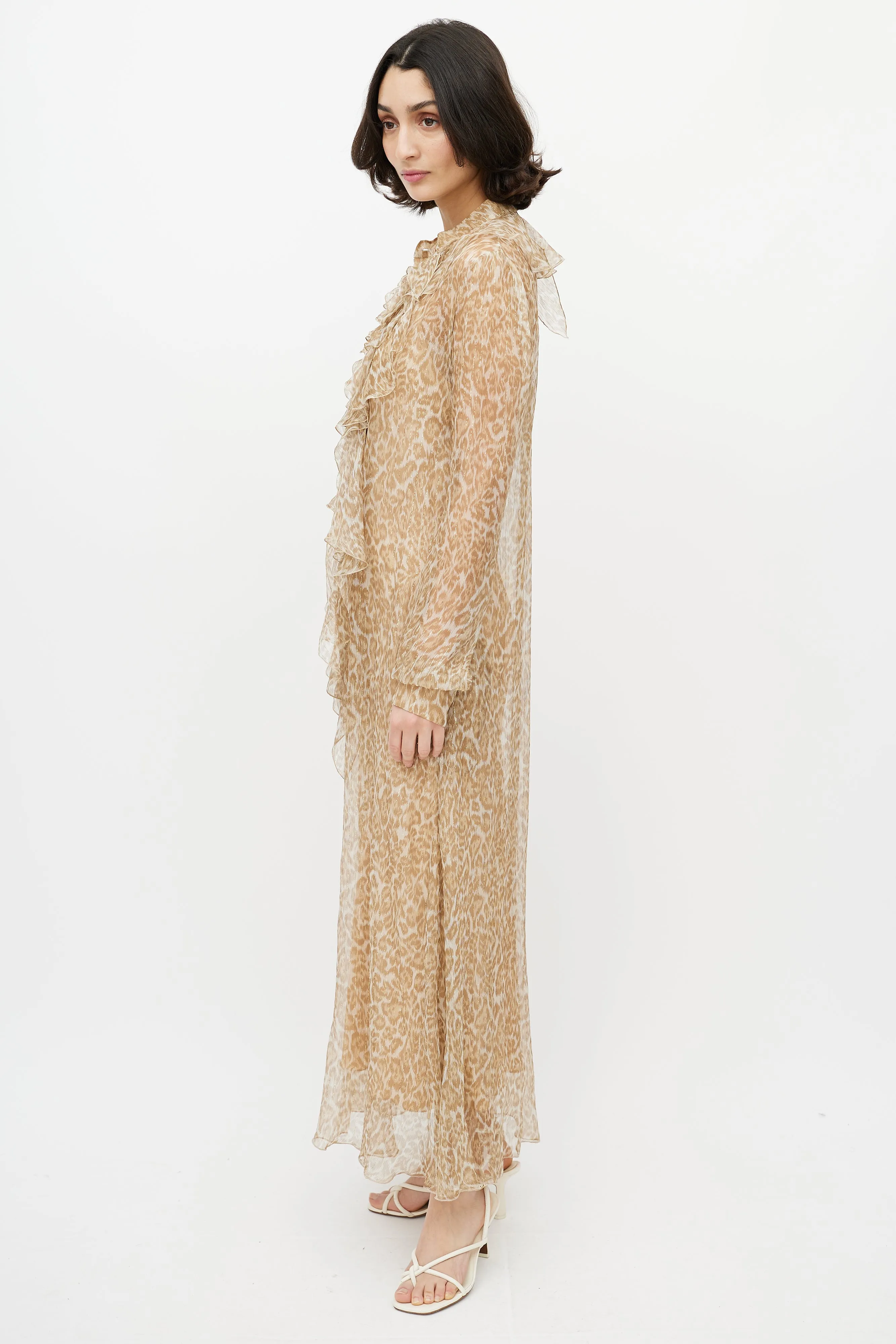 Brown & Gold Printed Maxi Sheer Dress